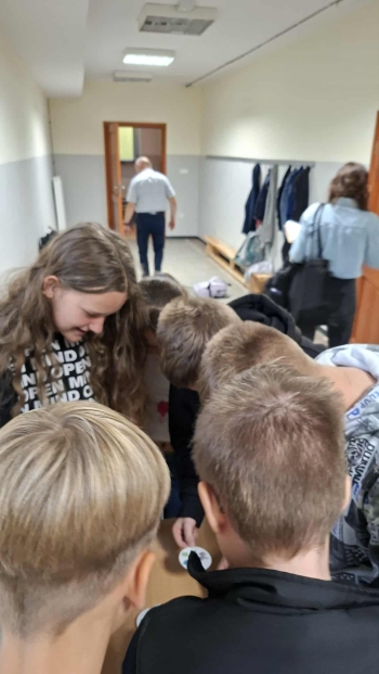 558066353_1216082880548115_8488391496919300734_n