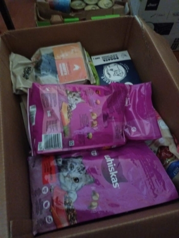 571160521_1241313448025058_937918875068068917_n