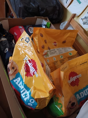 571327890_1241313344691735_5761381286341149860_n