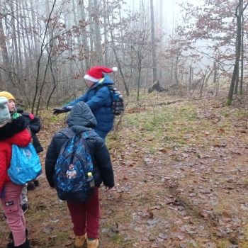 att.9opwQXOC72_IoXFlnwyh2MohrMAAPIzBs71r4FIXLXA