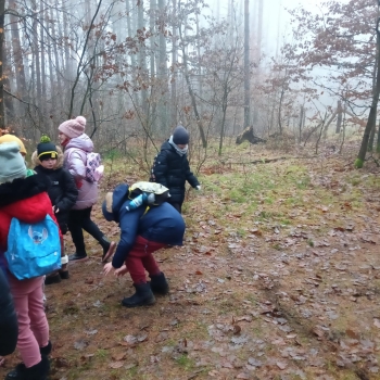 att.b2ejuBmvTgj2GaTzF-vIv9ozFE1Gc7IO6C1NDDLHZQ4