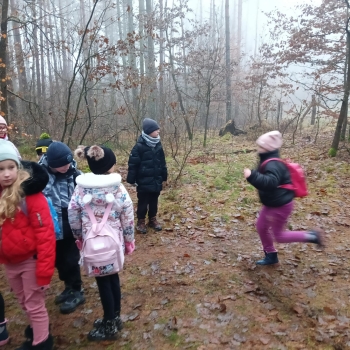 att.BqeLad8xirax3qQdVlr5FXtCKFsGFwtaX1WbFF5oirU