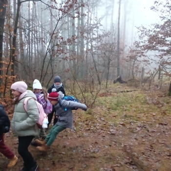 att.c7ZZh_n_8qAYHFJRJEbX9KWTsdNLJOtmkZJk_LFo5Eg