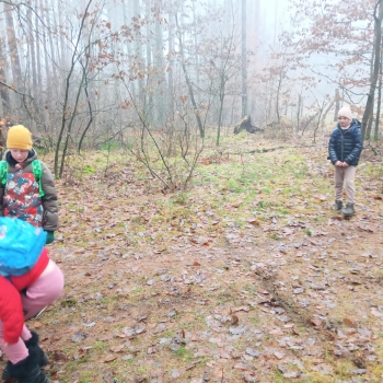 att.CMPIl38TzupRjK1OuaGV7dwqCreJDyUTnFXSaDYv_vM