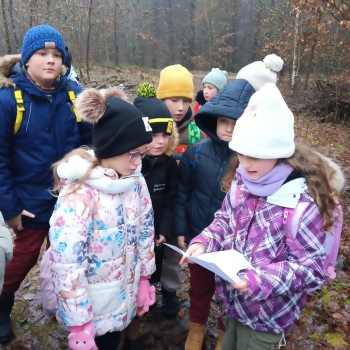 att.cZwZ91DswizV5bImQdLjtaCZTll2VRfGt-RCVleNg7w