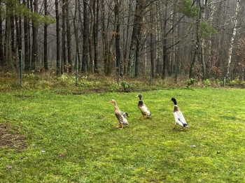 att.cmW5sEicYvAl0AM9GA9z1ZGSTwoMu55Ie4asOm-YKIY