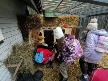 att.j42Kn3YdFhegIiT9Ec0TtinkBePqtK5Y-FWhenEj0g4