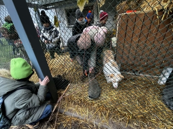 att.PQTTgjuUyqEHIFiVUOMGQruA3n7xSu_MNdAbVNzhDhg