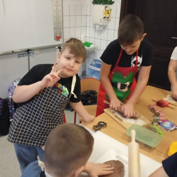 att.0pKrK0BLiZWNYqT9aIAc_OaeFgKIaooDUJM2L4IxZdM