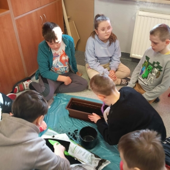 att.5vTBpMTbHTYchQuqSDz_wy-VeyCRorvForkzRM2FAaE