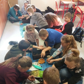 att.GnbEguu7Hjstp0a63G8dMTVT13ZYJgtyB3LaiqK_bfw