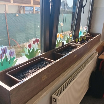 att.Qo1wpYupQ0ziCwzFm0d4KmBXWraYn9hXSVWk75XTNJU