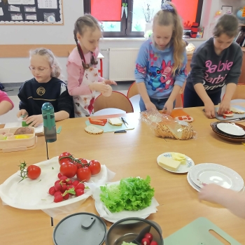 att.Wl9lVP3O5VR-cqk_h_8m8uC8JCBqi3yZYqhv_xllbBI