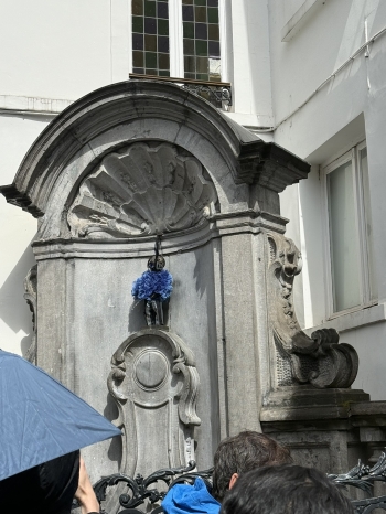 IMG_7113.JPEG