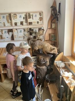 IMG_6165.jpeg