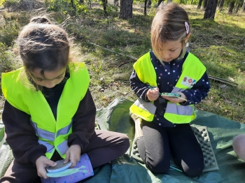 TEVC0453.JPG