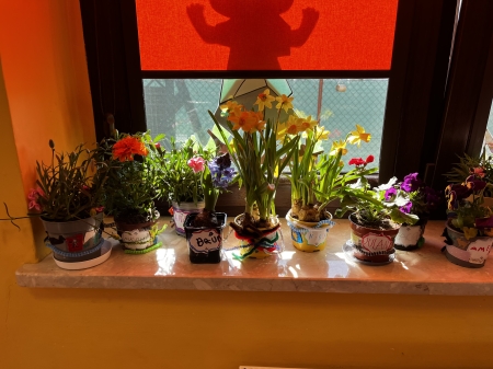 OGRÓDEK PARAPETOWY W GRUPIE MOTYLKI