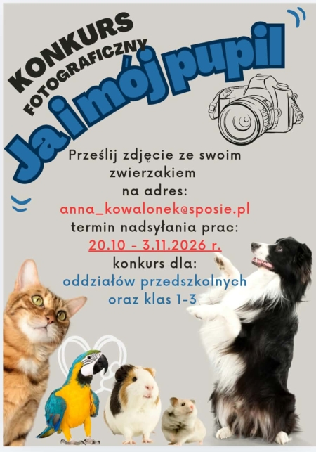 Konkurs